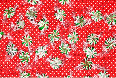 《纪元: 变异》宣布9月1日登陆NS 手机版也在开发中