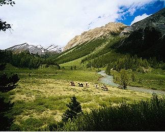 国服《冒险岛2》发布停服公告 11月2日正式停止运营