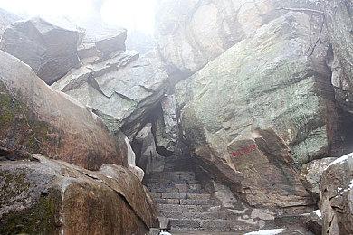 《幻兽帕鲁》东京电玩展新预告 展示各种游戏机制